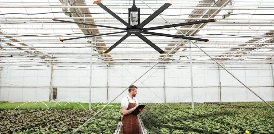 Ventilador HVLS em estufa agrícola